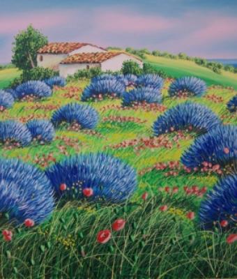campo-di-lavanda