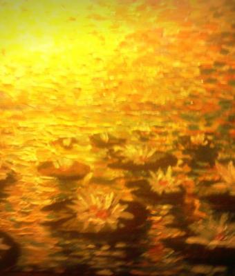 fiori-di-luna
