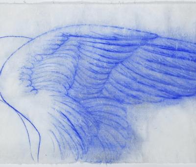 omar-galliani-nuovi-angeli-nuove-carte