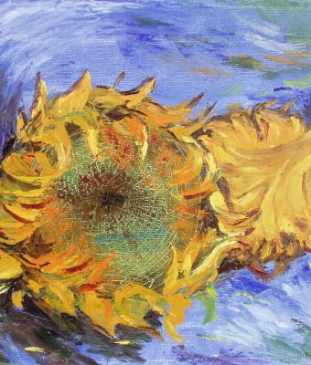due-girasoli-recisi