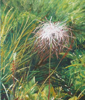 fiore