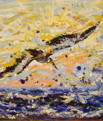in-volo