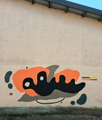damu-mantova-it