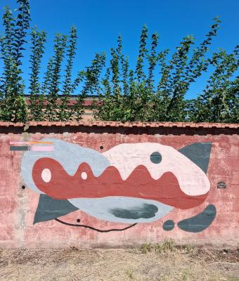 damu-mantova-it