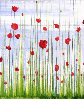 poppy
