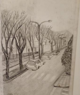 viale-amedeo-d-aosta