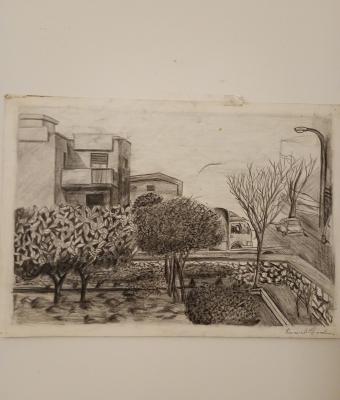 viale-amedeo-d-aosta2