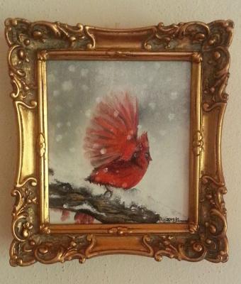cardinalis