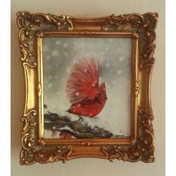 cardinalis