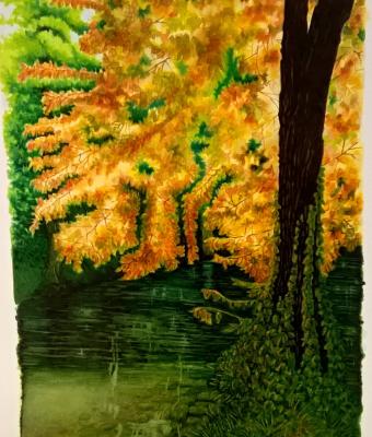 quotl-albero-fatatoquot