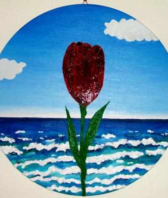 il-tulipano-rosso