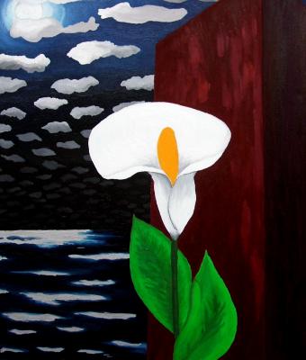 pensando-a-georgia-o-keeffe