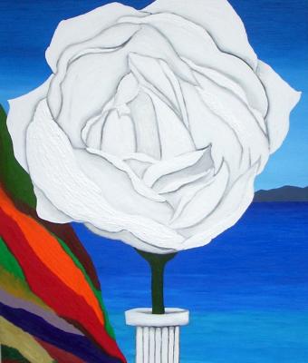 la-rosa-bianca