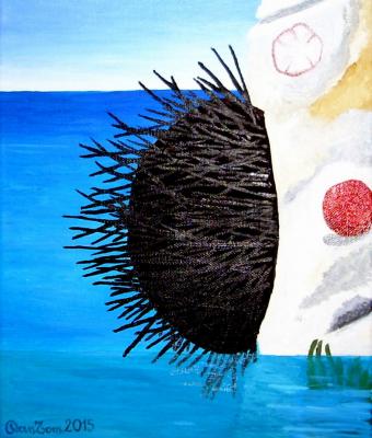 il-riccio-di-mare