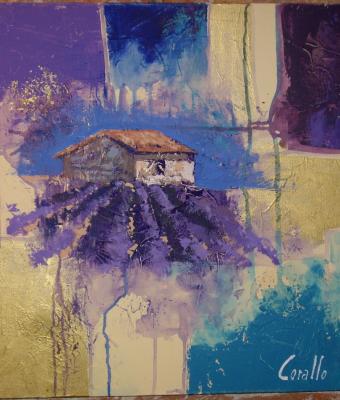 campo-di-lavanda
