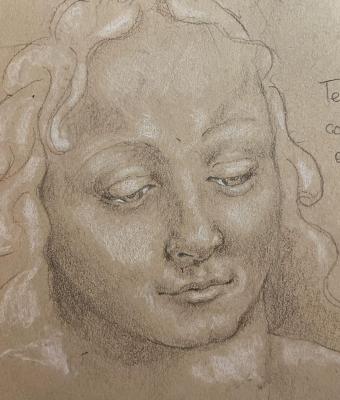 studio-di-leonardo