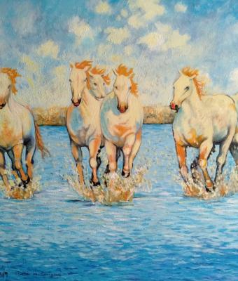 i-cavalli-dell-carmague-pro