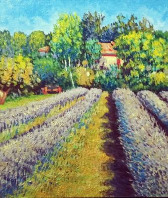 un-angolo-di-lavanda-in-italia