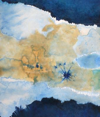 macro-embrione-grafico