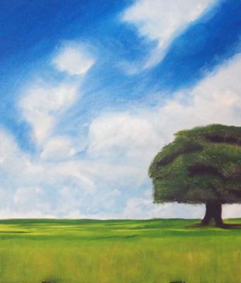 l-albero-sognatore