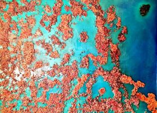 barriera-corallina