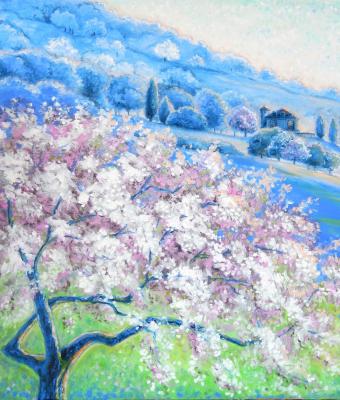 primavera