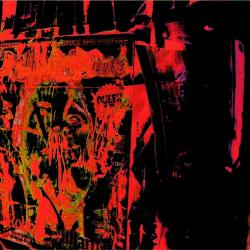 extending-memorie-dettaglio-02