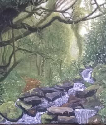 foresta