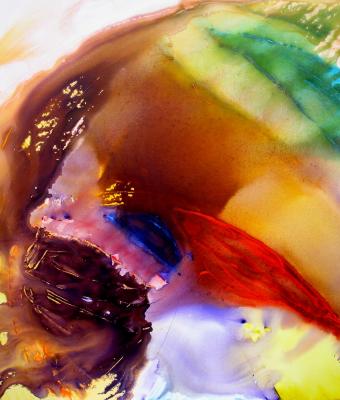 il-colore-della-materia