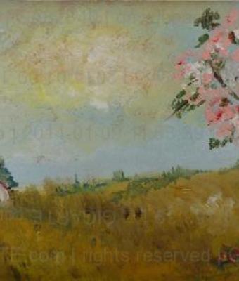 paesaggio-toscano