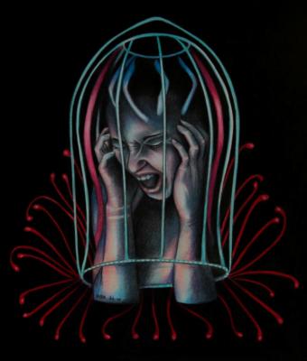 jellyfool