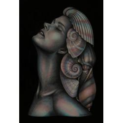hallowed-be-thy-shell