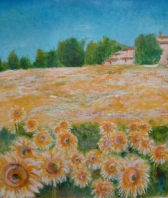 il-campo-dorato