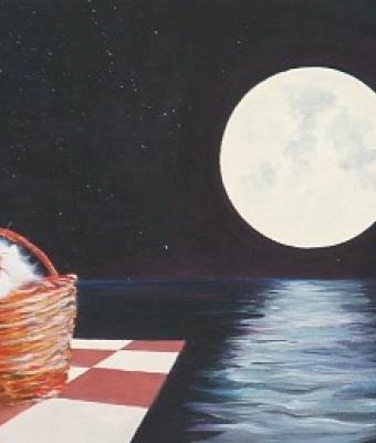 mim-sogna-la-luna