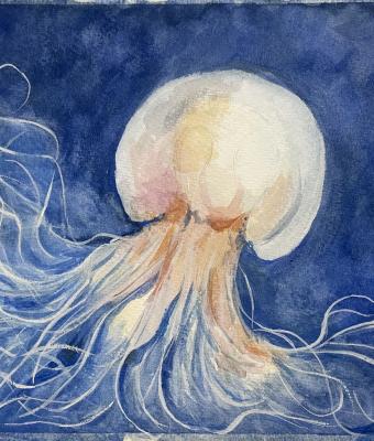 jellyfish