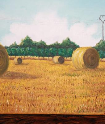 campo-di-grano-dopo-la-mietitu