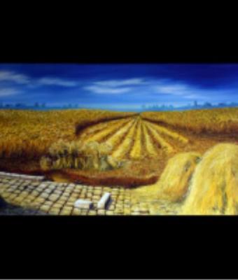 campo-di-grano-all-autore-con