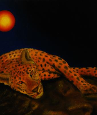posa-di-un-leopardo