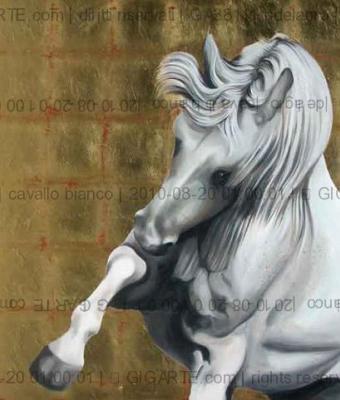 cavallo-bianco