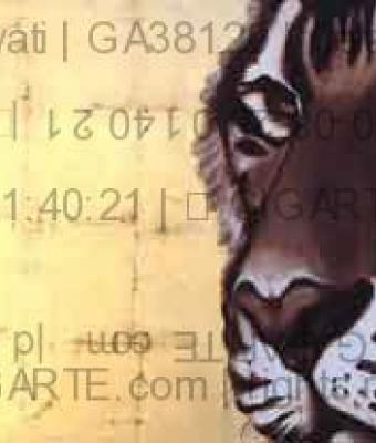 tigre