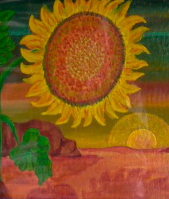 il-girasole