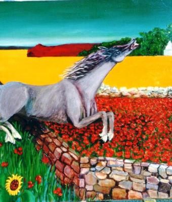 cavallo