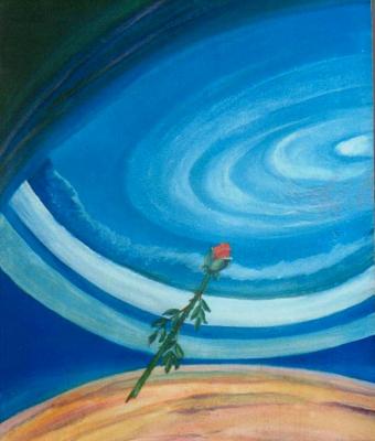 cielo-in-fiore