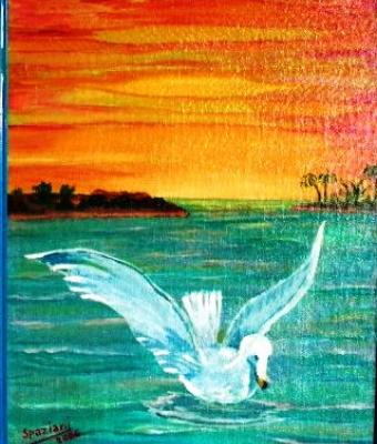 cigno-al-bagno