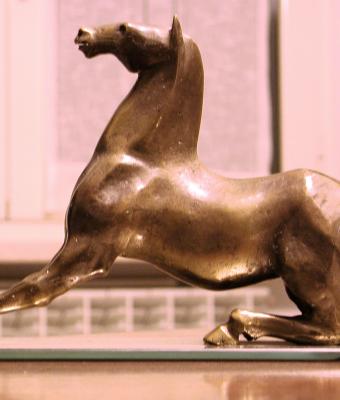 studio-equestre