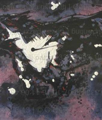 cavalli-pazzi-333