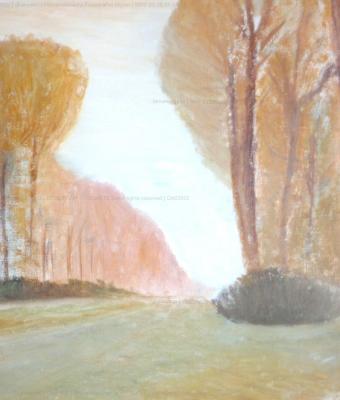 fontainebleau-s-forest-after-m