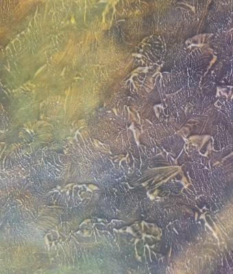 a-glance-at-prehistoric-time