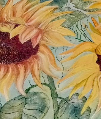 girasoli