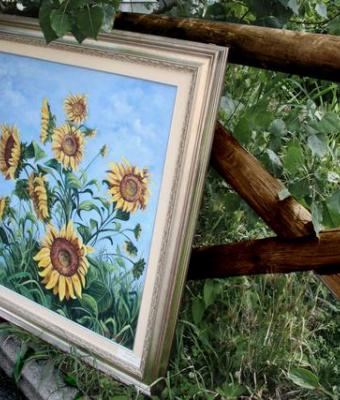 girasoli-curiosi